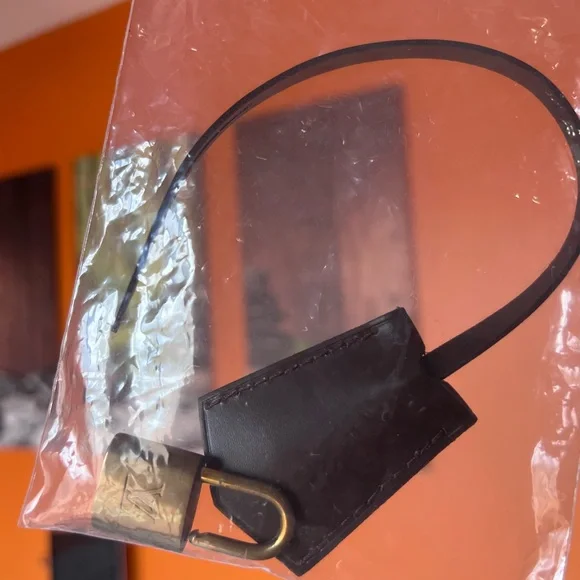 Louis Vuitton Damier Ebene Duomo Top Handle Bag - Picture 9 of 13